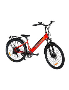 Ecolo Cycle - Europa