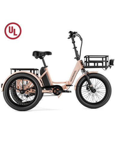 Folding electric trike Mooncool TK1