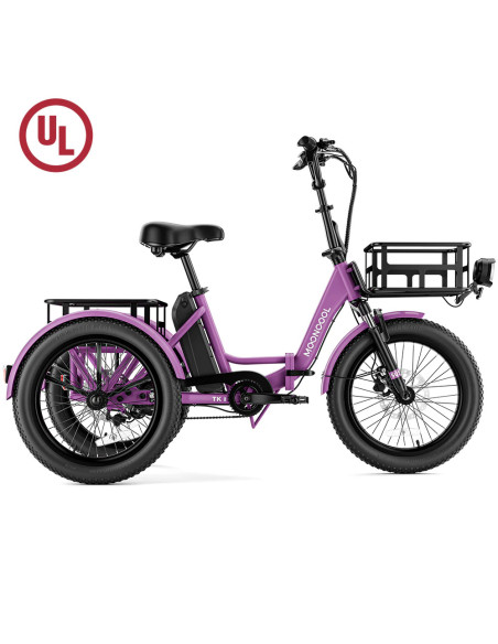 Tricycle électrique pliant Mooncool TK1