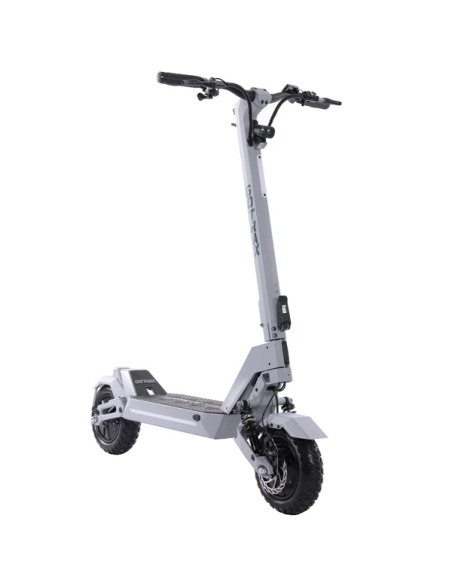 GoTrax GX2 - Dual Motor