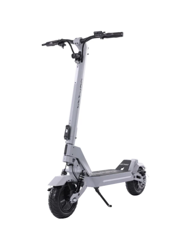 GoTrax GX2 - Dual Motor