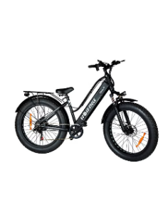Ecolo Cycle - Trail/X 48V